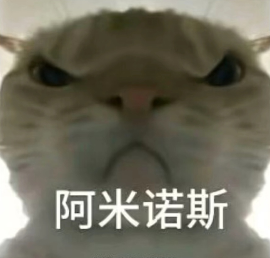 在一个团队 在一个团队