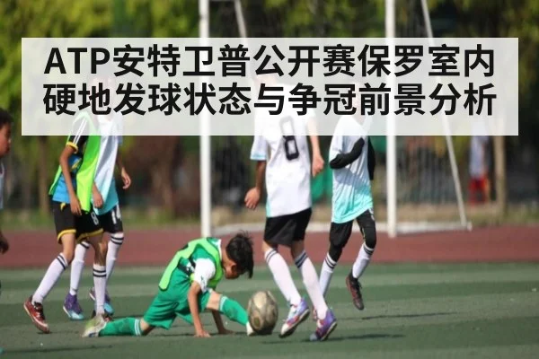 ATP安特卫普公开赛保罗室内硬地发球状态与争冠前景分析